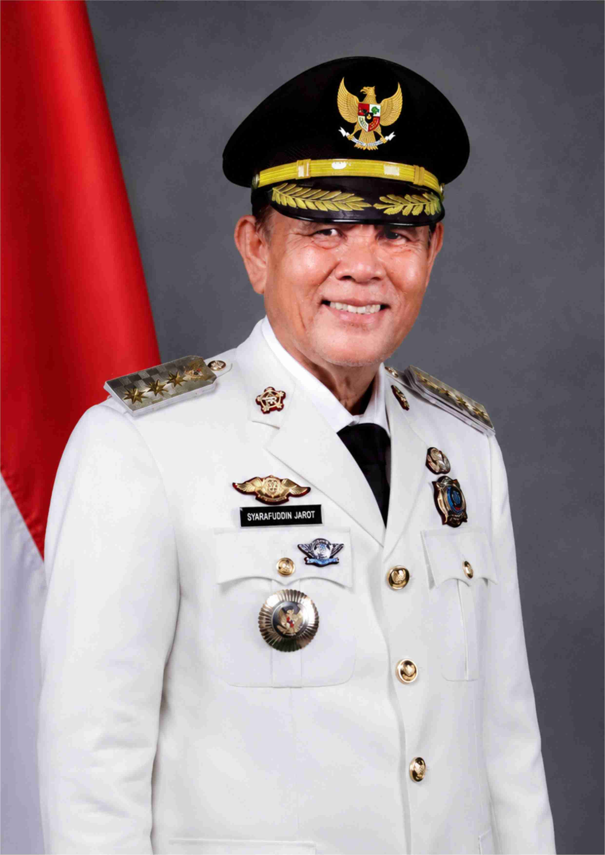 Ir. H. SYARAFUDDIN JAROT, M.P