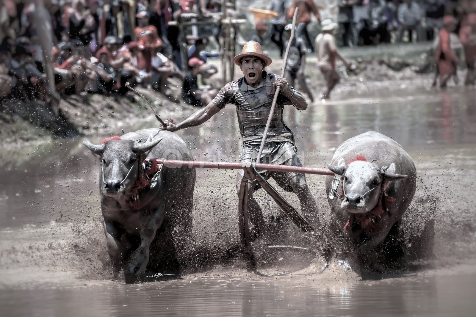 Profil Sekretariat Kabupaten Sumbawa